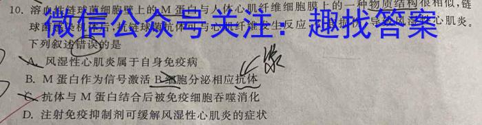 [Word]邕衡金卷·名校联盟2024届高三年级9月联考数学