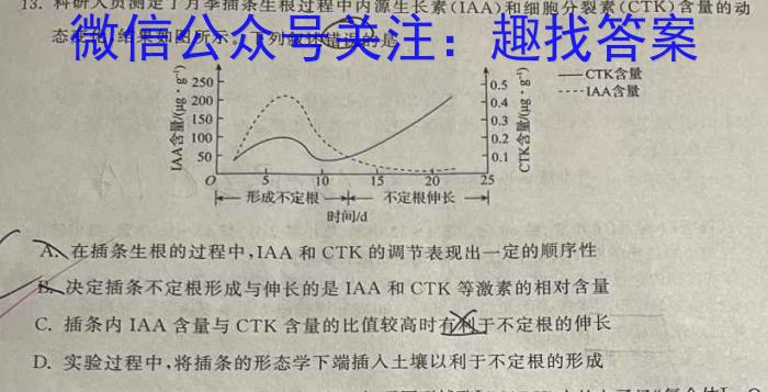 安徽省芜湖市2024年九年级毕业暨升学模拟考试（一）数学