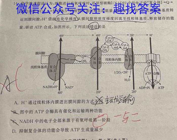 陕西省2023-2024学年度第一学期七年级课后综合作业（一）A数学