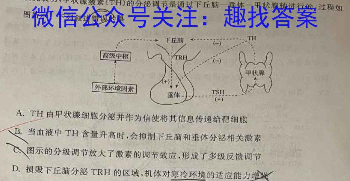 2023年深圳市普通高中高一年级期末调研考试数学