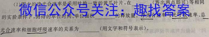 学普试卷 2024届高三第十次模拟试题(十)10数学