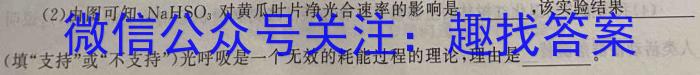 陕西省2023-2024学年普通高中高一年级新高考适应性考试数学