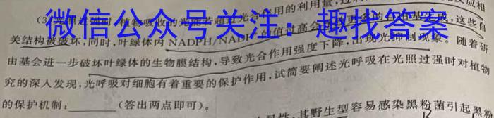 江苏省百校联考高三第二次考试(24-209C)数学