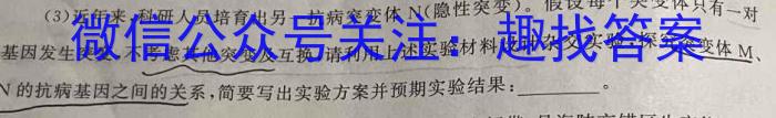 真题密卷 2024年普通高中学业水平选择性考试模拟试题(二)2数学