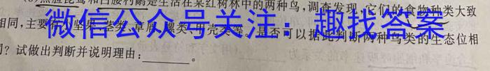 2024-2025学年第一学期甘肃省武威十一中联片教研九年级开学考试数学