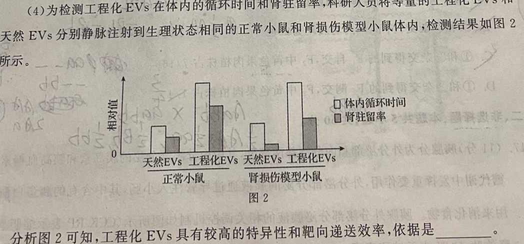 陕西省商洛市2022~2023学年度高二年级第二学期教学质量抽样监测(标识□)生物
