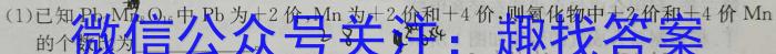 河南省2022～2023学年高一下学期6月“双新”大联考化学