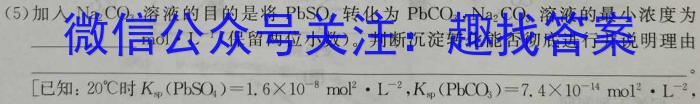 安徽省安庆市2023届初三毕业班模拟考试（二模）【第二中学】化学