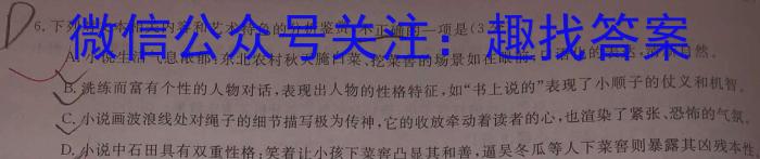 2023年安徽省中考信息押题卷(一)语文