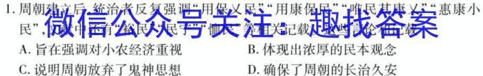 2023届山东省济南市新高考5月针对性训练历史