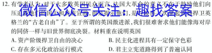 天一大联考·皖豫名校联盟2022-2023学年(下)高一年级阶段性测试(四)历史