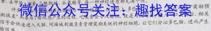 2023年普通高等学校全国统一模拟招生考试 高三新未来5月联考语文