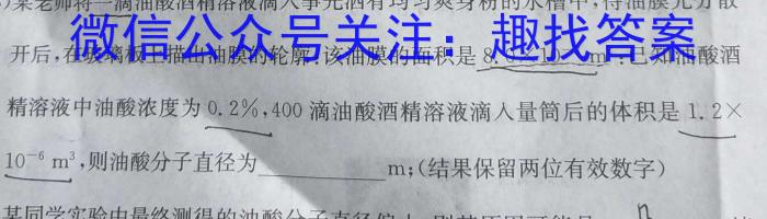 2023年安徽省初中学业水平考试冲刺试卷（二）物理`