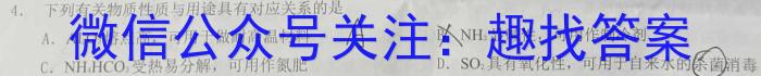 2023年“万友”中考突破卷（三）化学