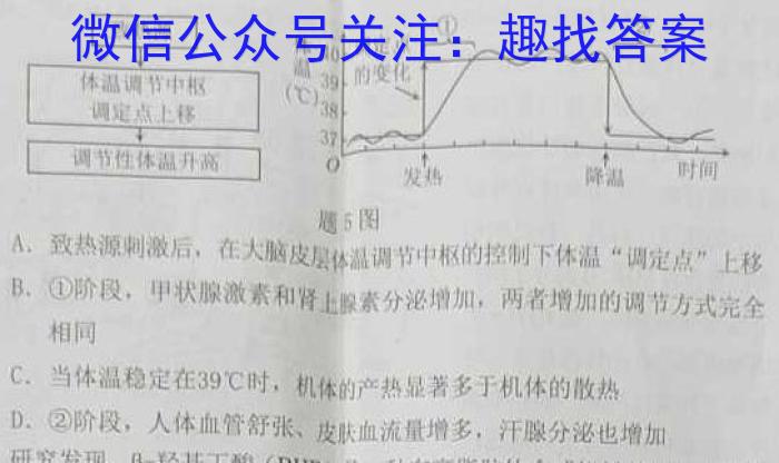 安徽省六安市皋城中学2025届初三阶段性目标检测（四）数学