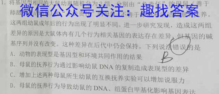 2023年普通高等学校招生伯乐马押题考试(二)数学