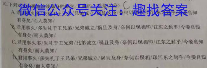 2023届山东省高三年级下学期高考针对性训练语文