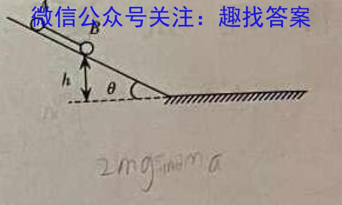 2023年安徽省中考信息押题卷(三)物理`