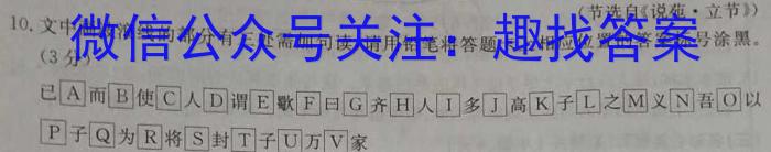 天一大联考 2022-2023学年高二阶段性测试(四)语文