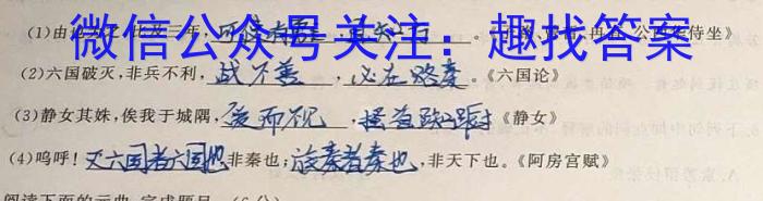 2023年陕西省初中学业水平考试模拟试卷W5语文
