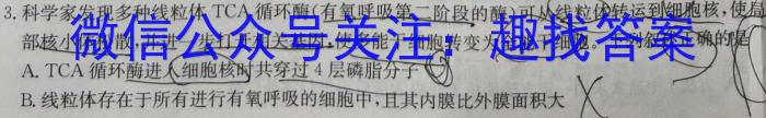 安徽省2023-2024学年度七年级第二学期期末教学质量监测(B)数学