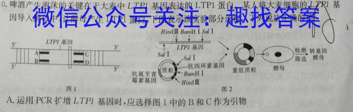 2024届高考冲刺卷[页脚:高考冲刺卷](二)数学