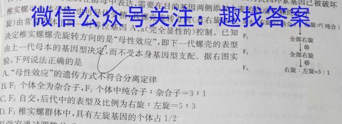 河南省2023-2024学年度高三一轮复习阶段性检测（四）数学