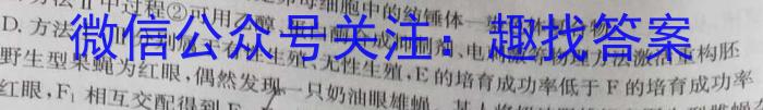 安徽省2023-2024学年度八年级阶段诊断（三）数学