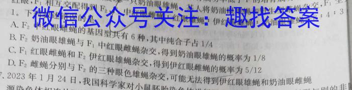 安师联盟·2024年中考摸底试卷(4月)数学