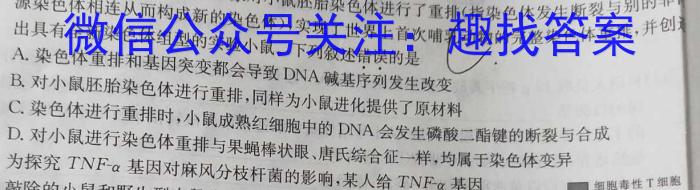 安徽省2023-2024学年高二年级上学期阶段检测联考数学