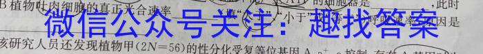 陕西省2025届高二12月联考数学