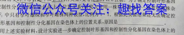 2024-2025学年湖南省高二试卷9月联考(25-18B)数学