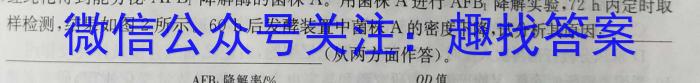 鼎成原创模考 2024年河南省普通高中招生考试 考前必杀卷数学