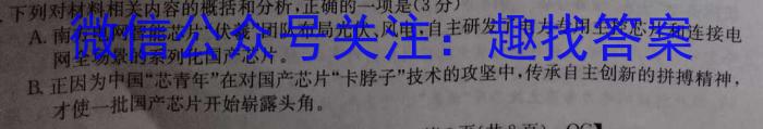 山西省吕梁市临县2023年中考模拟试题语文