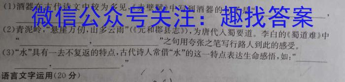 山西省2023年中考总复习押题信息卷（二）语文