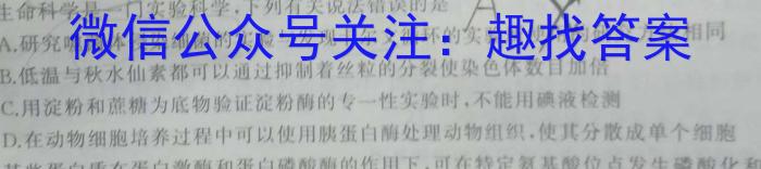 安徽省2023-2024学年度八年级下学期5月月考（无标题）数学