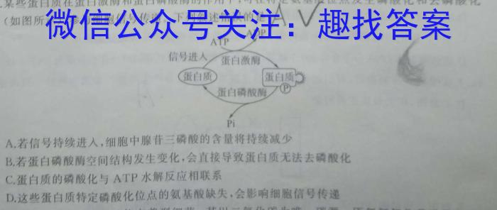 青海省2023届高三5月高考模拟押题卷数学