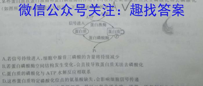 重庆市2023-2024学年（下）2月月度质量检测（高三）数学