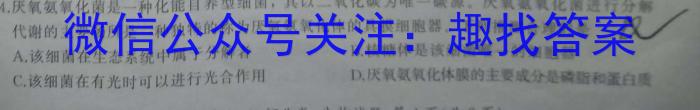 安徽省亳州市蒙城县2023-2024年度第一学期义务教育教学质量检测（九年级）数学