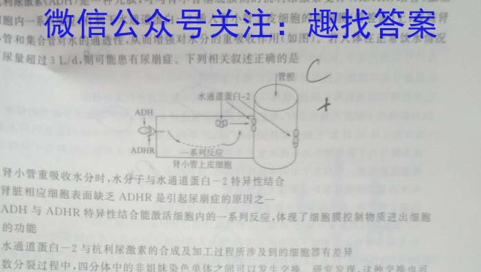 2024届达州市普通高中第二次诊断性测试数学