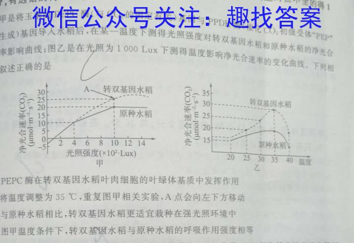 陕西省商洛市2024届高三第五次模拟检测数学