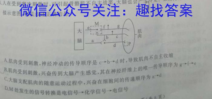 桂林市2024-2023学年度高二年级下学期期末质量检测数学