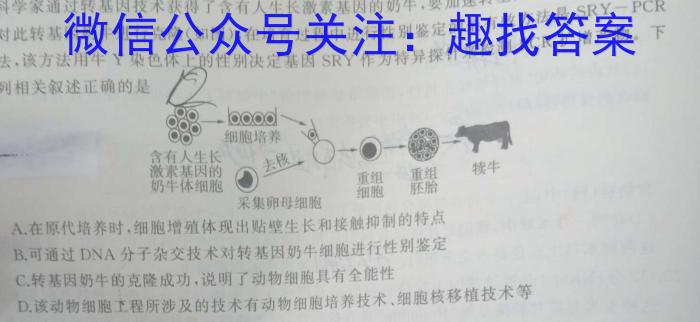 2024年河北省初中毕业生第三阶段综合复习 金榜夺魁(十五)15数学