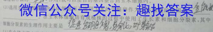 中考必刷卷·2024年安徽省八学业水平考试 压轴冲刺卷一数学