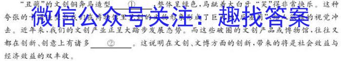 2023年安徽省初中学业水平考试 冲刺(一)语文