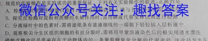 甘肃省金川区2024年初中学业水平质量检测卷(5月)数学