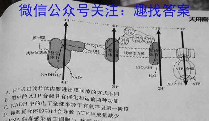 2024年全国高考冲刺压轴卷(二)数学