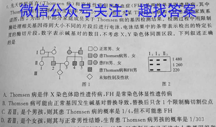 1号卷·A10联盟2026届高一上学期11月联考数学