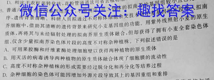 2024年安徽省1号卷·中考智高点·夺魁卷（一）数学