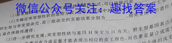 文博志鸿 2023-2024学年九年级第一学期期中教学质量检测数学